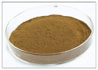 Oleuropein% 20 Doğal Zeytin Yaprağı Ekstresi Diyet Desteği Brown Powder