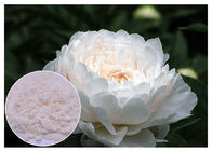 Yenileyen Cilt Doğal Kozmetik İçindekiler Kapalı Beyaz Renk Paeonia Lactiflora Tozu
