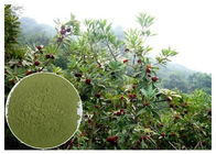 Myricetin% 10 -% 95 Doğal Anti Inflamatuar Takviyeler Bayberry Root Bark Powder