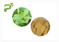 2.0ppm Yüksek Çay Polifenolleri ile 60 Mesh Yeşil Sağlık Tozu HPLC