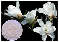% 50 -% 95 Magnolol Magnolia Kabuğu İlavesi, Magnolia Officinalis Kabuk Özü HPLC Testi