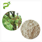 Su Solventi Bayberry Bark Extract Powder, Myricetin Anti Inflamatuar Takviyeler