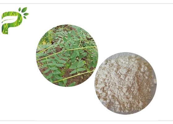 CAS 84687 43 4 Astragalus Membranaceus Ekstrakt Astragaloside IV 98% Yaşlanma Karşıtı