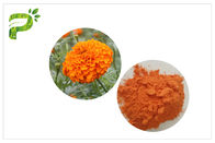 CAS 127 40 2 Lutein Marigold Çiçek Özütü, Marigold Özlü Tablet Pudrası