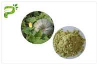Bitki Kaynağı Doğal Diyet Takviyeleri Kabak Çekirdeği Protein Tozu Vegan Protein 50% 60%