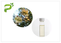 % 50 -% 60 İçerik Ağacı Esansiyel Yağları Aromaterapi Yağı Melaleuca Cajuputi Minor Oil