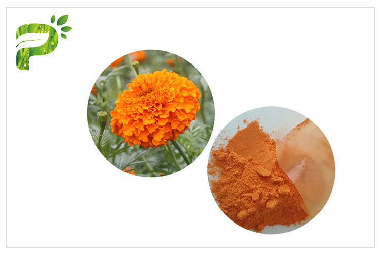 Göz Bakımı Doğal Çiçek Özleri Portakal Kırmızı Toz Luteini Marigold Çiçeği&amp;#39;nden
