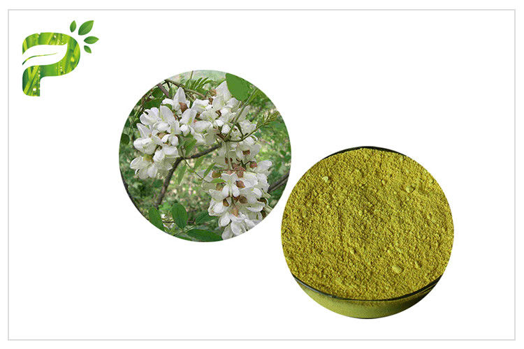 Kardiyovasküler Hastalık Sophora Japonica L. Quercetin Powder CAS 117 39 5