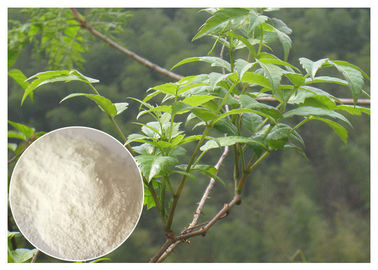 Bitki yaprağı ekstraktı tozu, anti-alkol Ampelopsis grossedentata Toz diyet ekstresi ekstresi