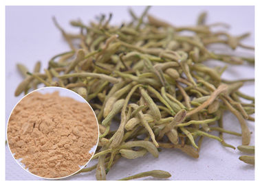 % 5, % 25 Lonicera japonica Ekstraksiyonu Bal dişiği çiçeği tozu