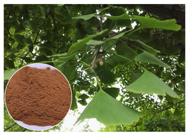 Doğal Bitki Özü Kardiyovasküler hastalıkları önlemek Ginkgo Biloba Yaprak Ekstresi EP Sınıfı