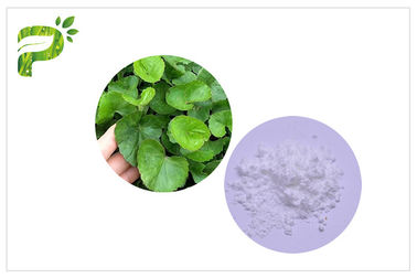 CAS 34540 22 2 Centella Asiatica Ekstraktı, Madecassoside Gotu Kola Özü