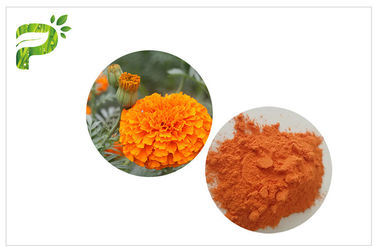 Retina Koruma Marigold Çiçek Özü, Gözler için Lutein 5% Toz Maddesi Özütü