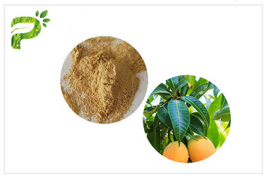 Anti-Mikrobiyal Bitki Özleri Mangiferin Mango Yaprak Tozu CAS 4773 96 0