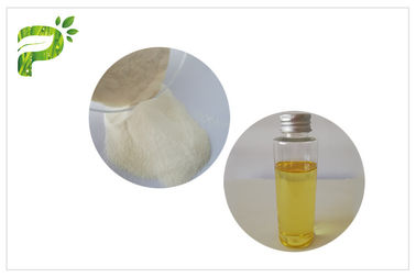 Beyaz Renk Anti Oksidasyon E Vitamini Tozu Dl-a- Tocopheryl Acetate Powder Besin Desteği