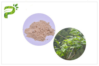 Ampelopsis Grossedentata Özü Dihydromyricetin / Akşamdan Kalma Sendromları için DHM CAS 27200 12 0